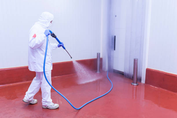 Best Patio and Deck Pressure Washing  in Woodlake, VA